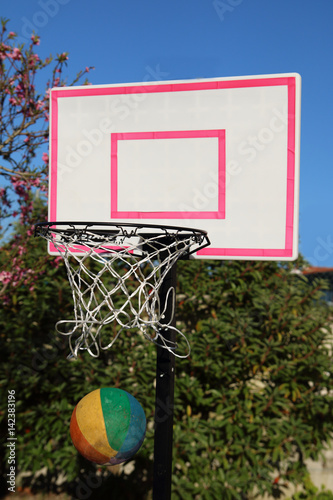 canasta y pelota cayendo con un fondo de vegetación