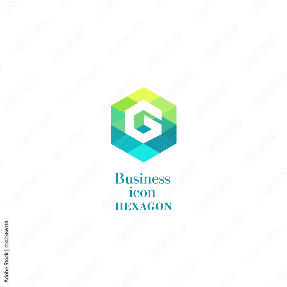 Business icon Hexagon, flat polygonal hexagon, geometric design concept Business icon Hexagon, flat polygonal hexagon, geometric design concept
