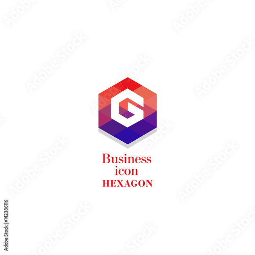 Business icon Hexagon, flat polygonal hexagon, geometric design concept