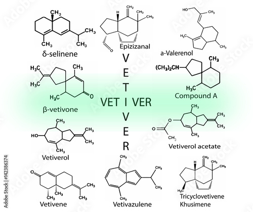 Chemicals from vetiver oil, Vetiveria zizanioides. Aromatic substances, chemical formula of vetiver. photo