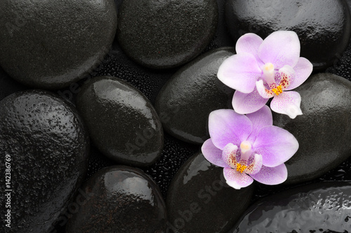Two light pink orchids lying on wet black stones. Viewed from above. Spa concept.