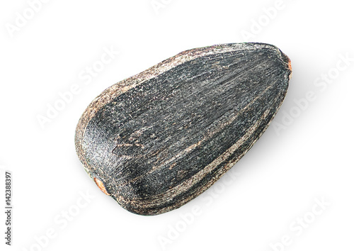 Wallpaper Mural Single of sunflower seed rotated Torontodigital.ca