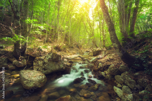 Fototapeta Naklejka Na Ścianę i Meble -  Fairy mountain forest at the river with colorful sun rays in spring morning. Fantastic landscape with trees, green leaves, stones and blurred water at sunrise. Magic woods with yellow sunlight. Nature