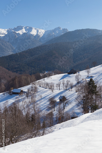 Beautiful winter mountain landscape with snowflakes in frosty winter day. Carpathian wild mountains. Romania. Holbav. Bran. Brasov. Romania. Little noise. Colorful winter sky.