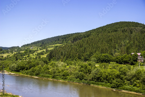 river at the Carpathian forest
