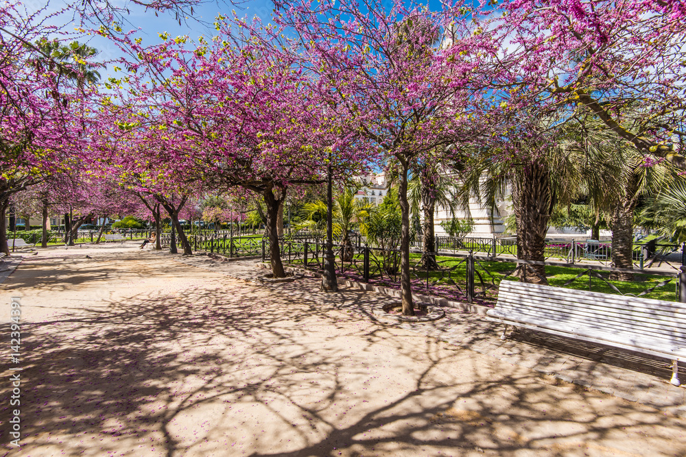colorful park in Cadiz,Spain