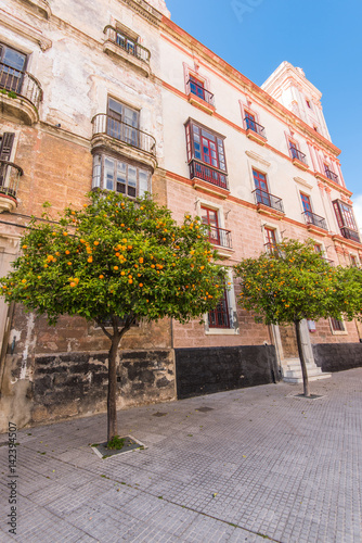 Fototapeta Naklejka Na Ścianę i Meble -  monuments,landmarks and architecture on streets of Cadiz,Spain