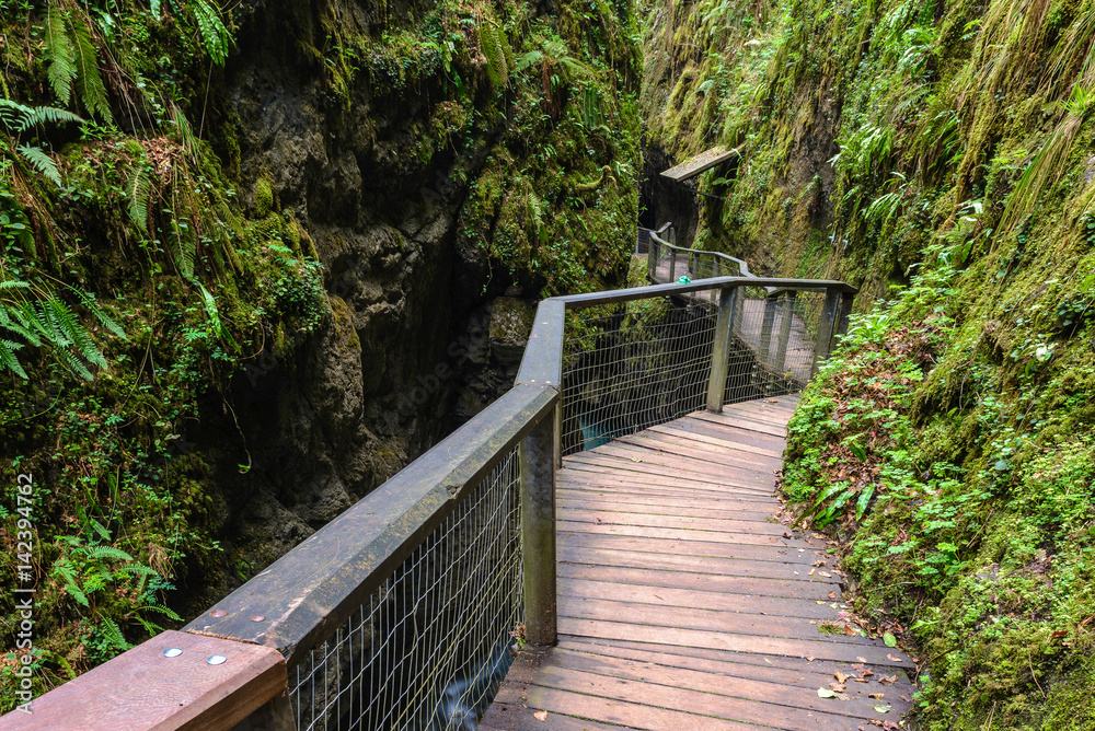 Obraz premium Footbridge in Kakueta Canyon, Aquitaine, France