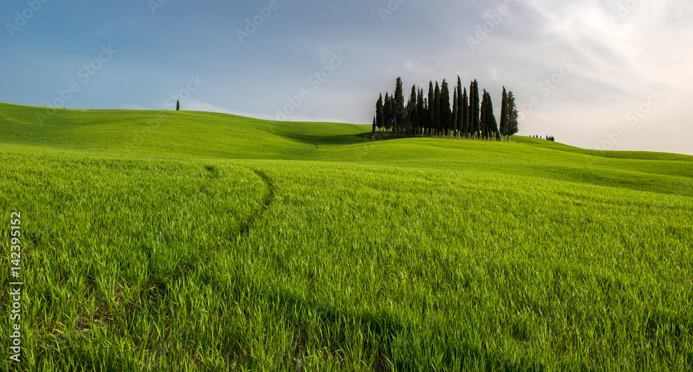 Obraz premium Tuscan countryside