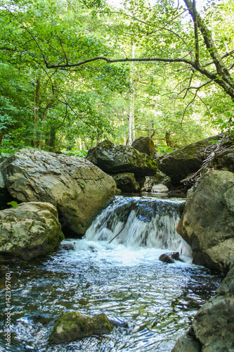 Obraz na płótnie river Sinni in Pollino national park w salonie