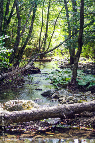 river Sinni in Pollino national park