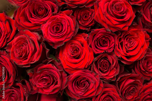 Red natural roses background #142395950