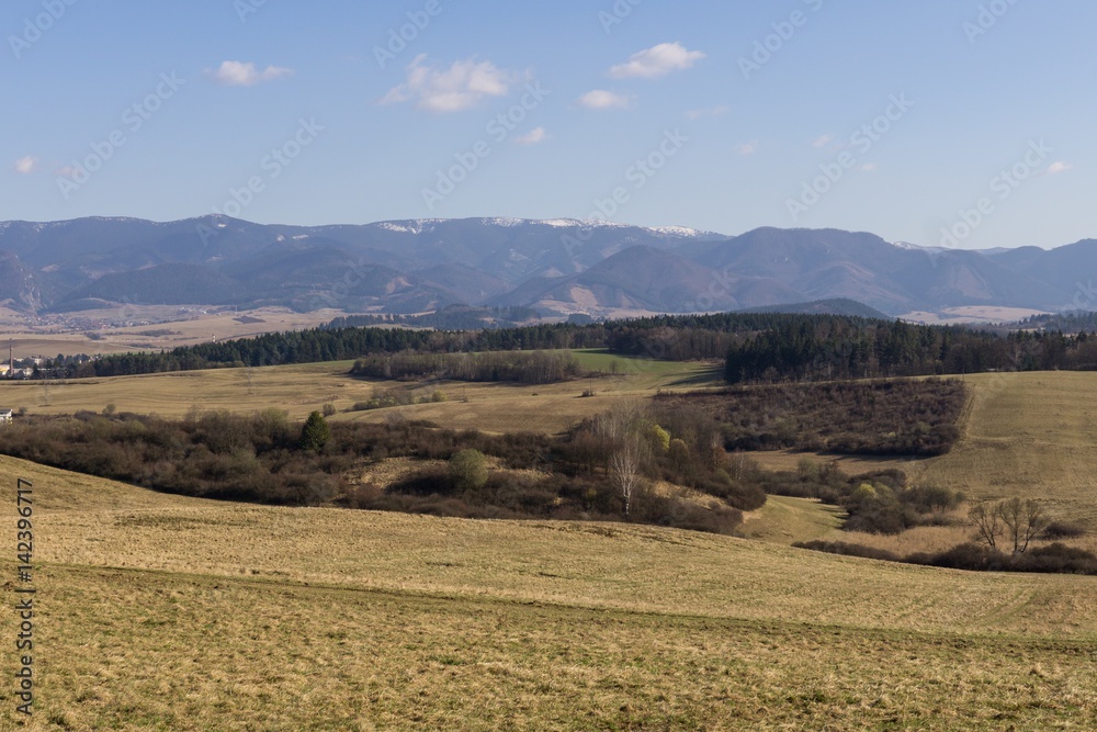 Obraz premium Meadow with trees and views to mountains. Slovakia