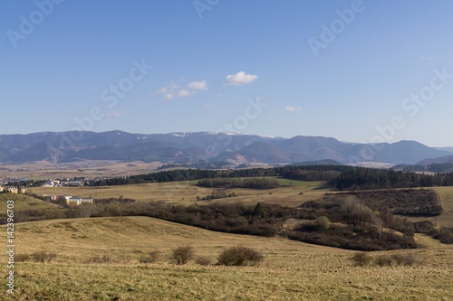 Meadow with trees and views to mountains. Slovakia