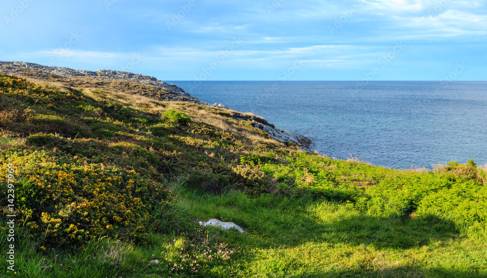 Cantabria coastline landscape.