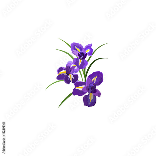 Fototapeta Naklejka Na Ścianę i Meble -  Purple Iris flowers