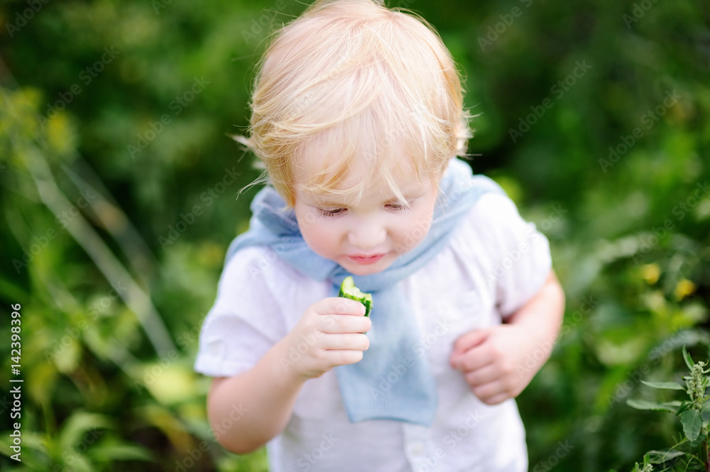 Toddler boy eating fresh organic cucumber in domestic garden Toddler boy eating fresh organic cucumber in domestic garden