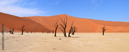 Deadvlei
