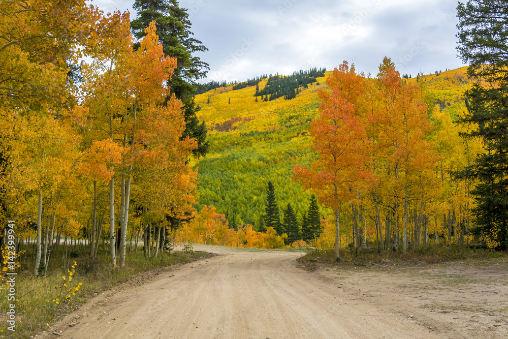 Obraz premium Mountain Road