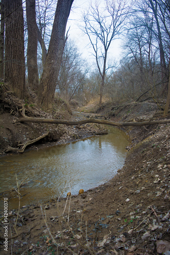 lone tree in creek © 00slaughter00