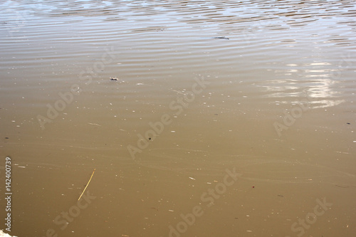 Dirty water in the river