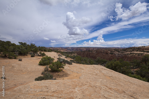 A landscape of the stone desert in Arizona