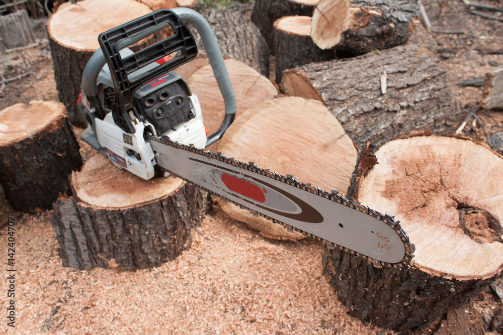 chainsaw and trees