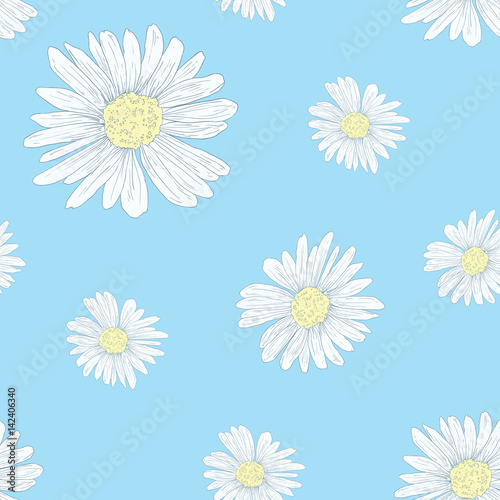 Daisy seamless pattern on blue