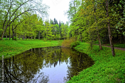 Idyllic landscape of forest and lakes. The view of nature summer calm and beautiful. Panorama of green trees with clean water.