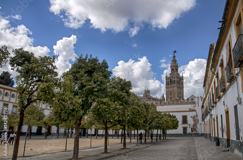 paseando por las antiguas calles de la judería de Sevilla y hoy llamado barrio de Santacruz, patio de los naranjos