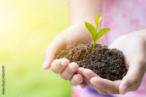 Teen hands planting the seedlings into the soil over nature background and sunlight. Farmer holding Young plant, new life growth. Ecology, money saving, development or business concept.