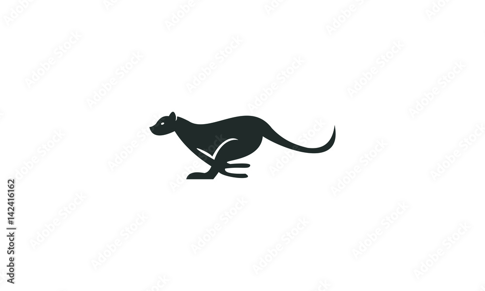 Naklejka premium kangaroo