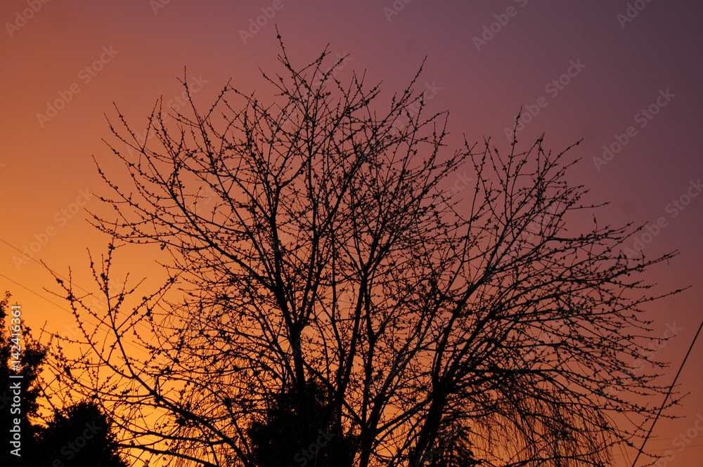 NEW BEGINNINGS sun set after a rain NEW BEGINNINGS sun set after a rain
