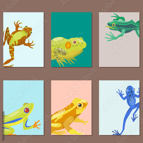 Fototapeta Naklejka Na Ścianę i Meble -  Frog cartoon tropical animal cartoon nature cards icon funny and isolated mascot character wild funny forest toad amphibian vector illustration.