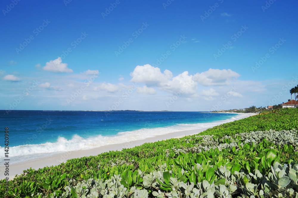 A beautiful view of the beach with green tropical vegetation and sunlight. New Providence, Nassau, Bahamas. A beautiful view of the beach with green tropical vegetation and sunlight. New Providence, Nassau, Bahamas.