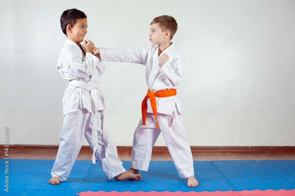 Two boys demonstrate martial arts working together Two boys demonstrate martial arts working together
