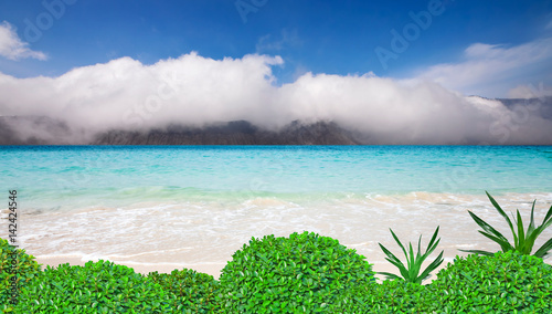 tropical sea and white sand beach background