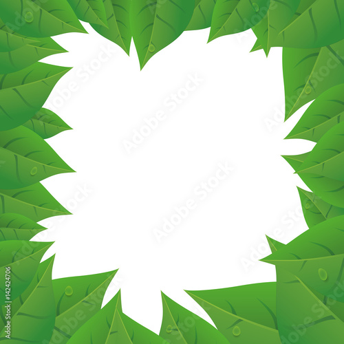 Leaves nature ecology icon vector illustration graphic design