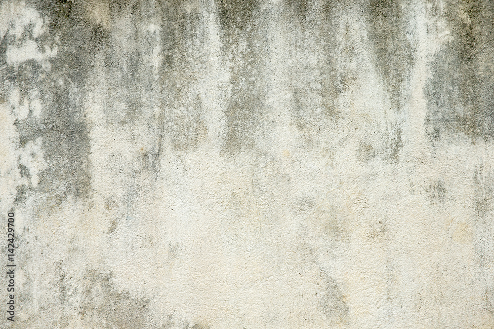 Fototapeta premium Grunge textures backgrounds. Perfect background with space