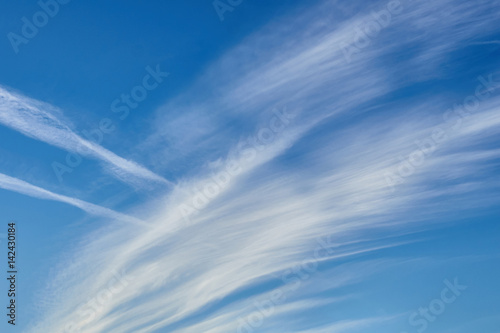 Blue skywhite clouds