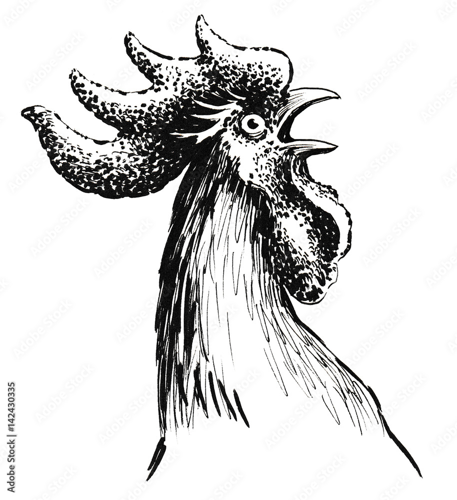 Obraz premium Rooster