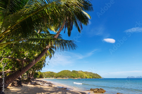 Fototapeta Naklejka Na Ścianę i Meble -  Tropical beach