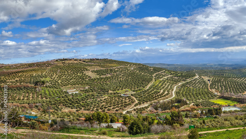 View of the neighborhood of Ubeda  Spain