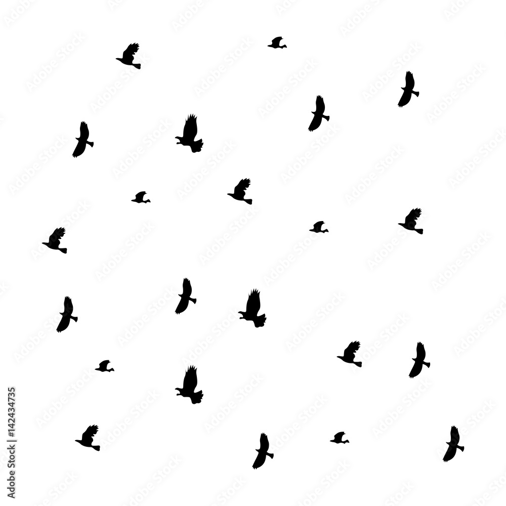 Birds vector icon. Birds vector icon.