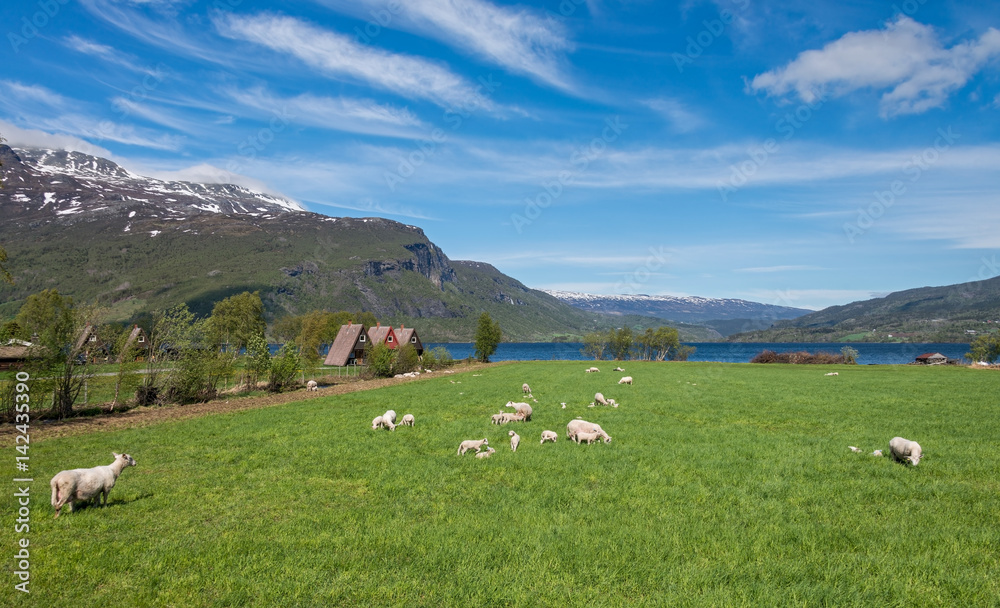 Beautiful landscape view at lake Vangsmjose, Norway.