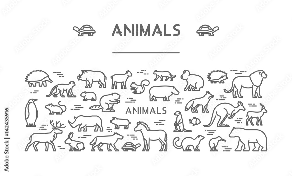 Line banner for american, african and australian animals