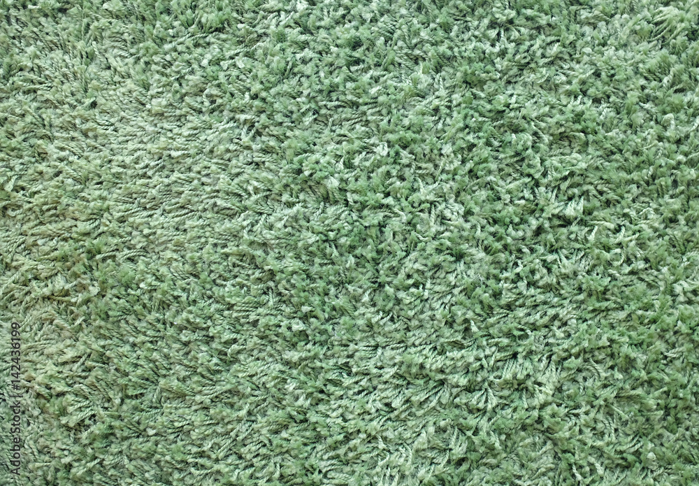 Green Carpet texture Green Carpet texture