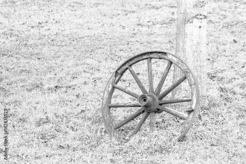 Old wooden wheel leaning on a tree trunk.