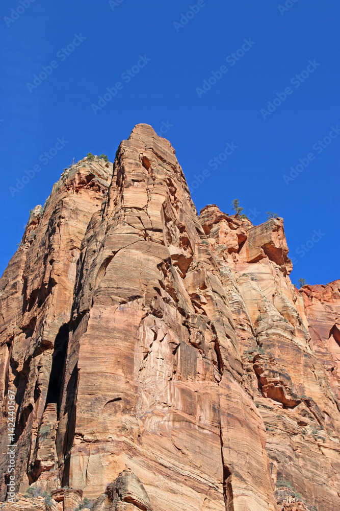 Fototapeta premium Zion National Park, Utah