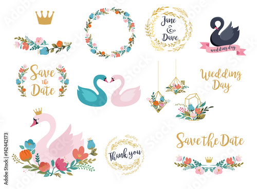 Fototapeta Naklejka Na Ścianę i Meble -  Wedding and birthday set with swan illustrations, lettering, flowers and elements